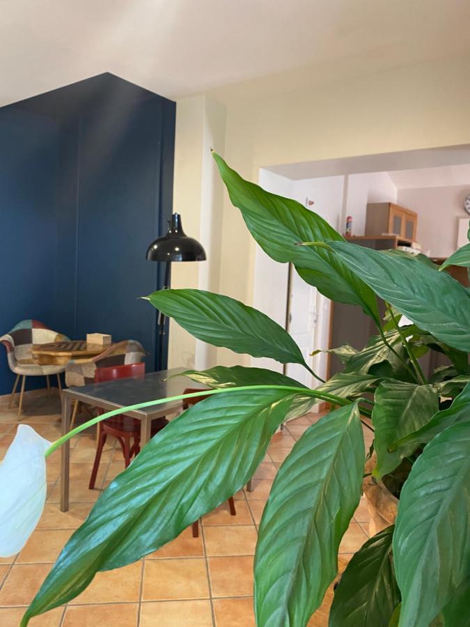 L'Atelier B&B Bedoin Ngoại thất bức ảnh